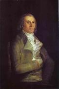 Francisco Jose de Goya Portrait of Andres del Peral oil painting